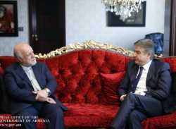 Վարչապետը հանդիպել է Իրանի նավթի և էներգետիկայի նախարարների հետ